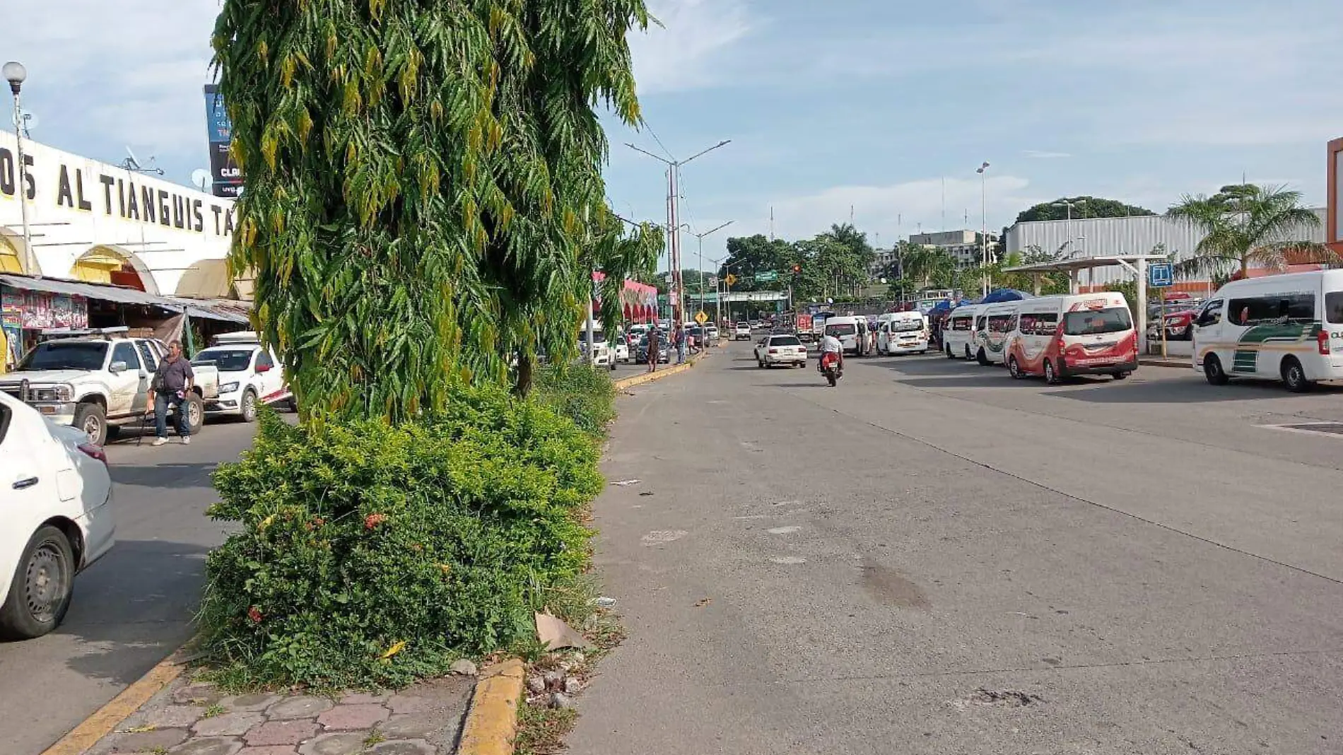 Tianguis paso a desnivel